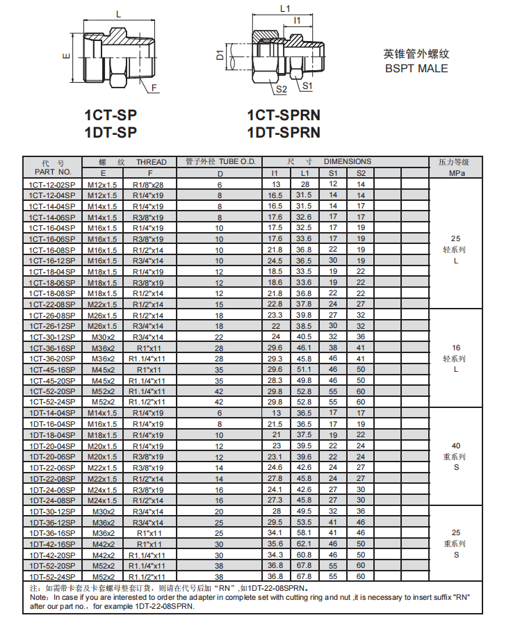 4、1CT-SP.1DT-SP.png